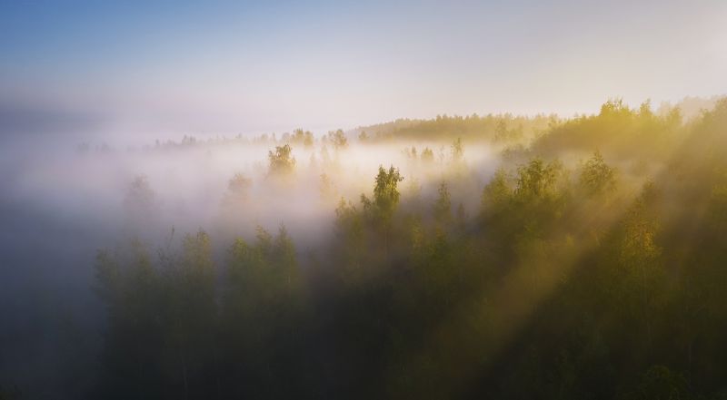 Акварель на рассвете фото превью