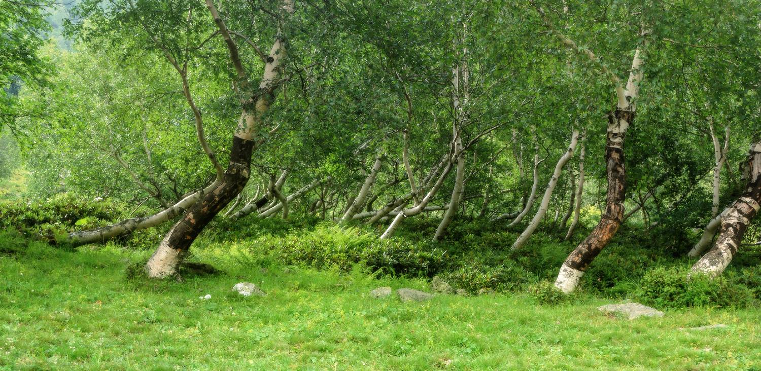 , Лысенко Сергей