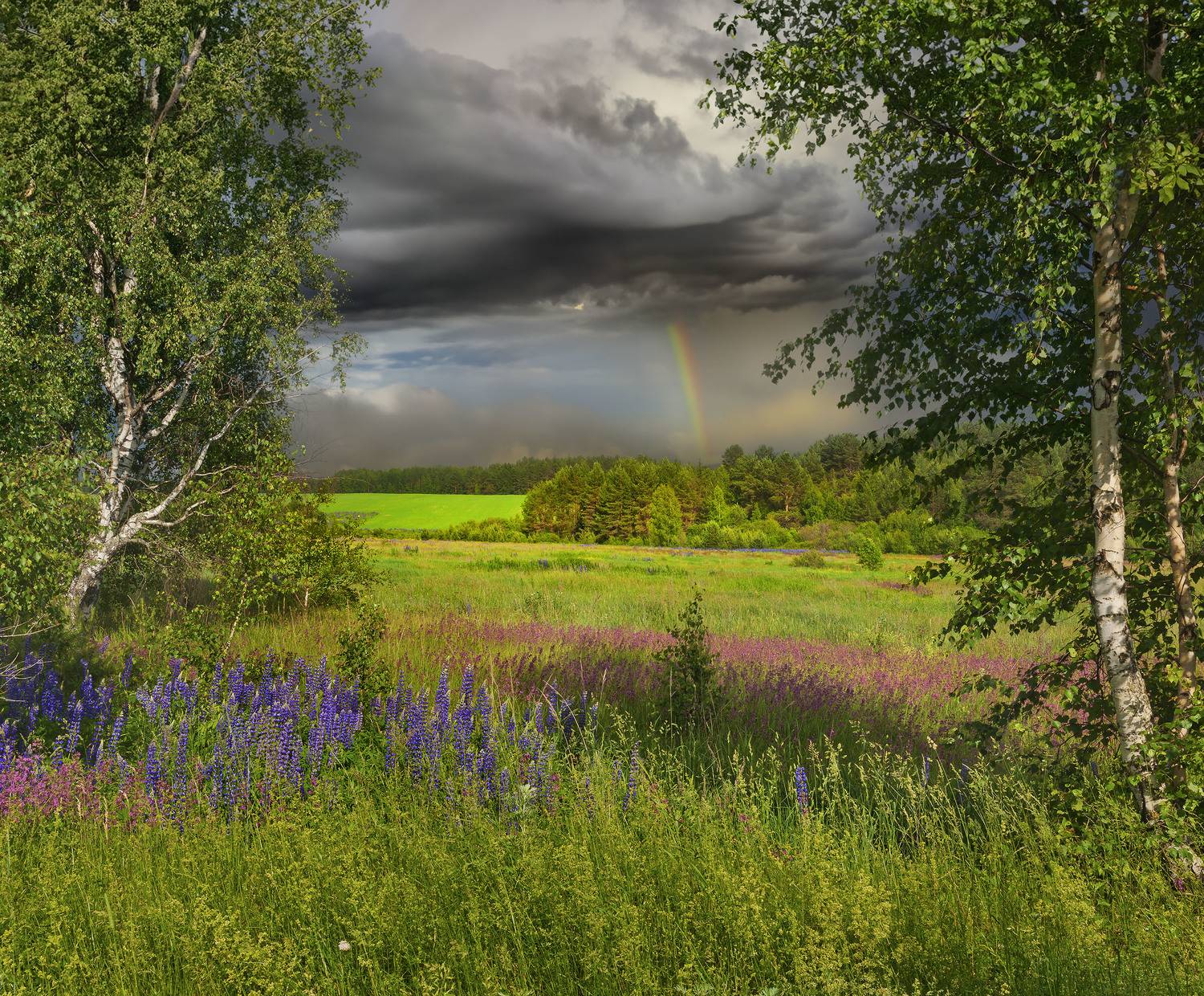 Фототуры с Владимиром Рябковым, #topnature #russpasibo #magic_shots #lovelyRussia #sunset_vision #exclusive_sky  #exclusive_shots #loves_russia2 #photoarena_nature #nature_sultans #nature_perfection #rsa_sky #rsa_sunset #photorussia #rsa_naturepics #sunse, Владимир Рябков