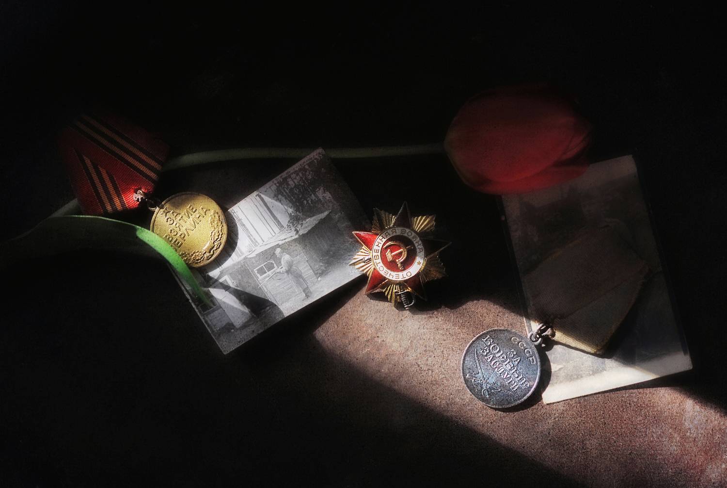 9 мая, праздник, победа, Буглак Инна