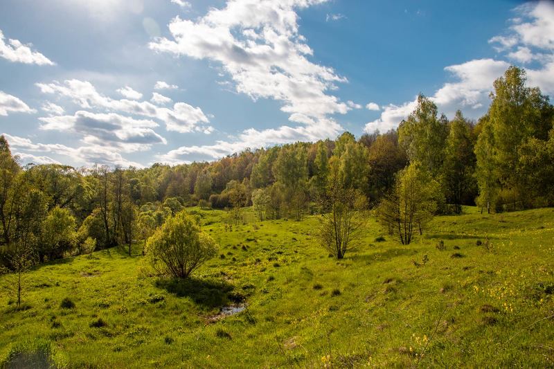 Прогулка вдоль берега реки фото превью