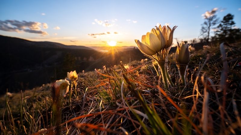 торгашинский хребет, красноярск. laowa 9mm Луч солнца золотого фото превью