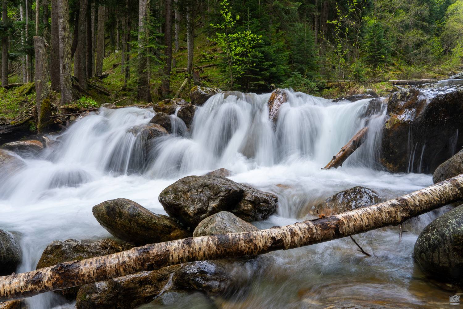 , Ковалев Дмитрий