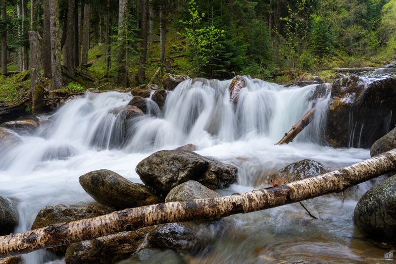 река Белая фото превью