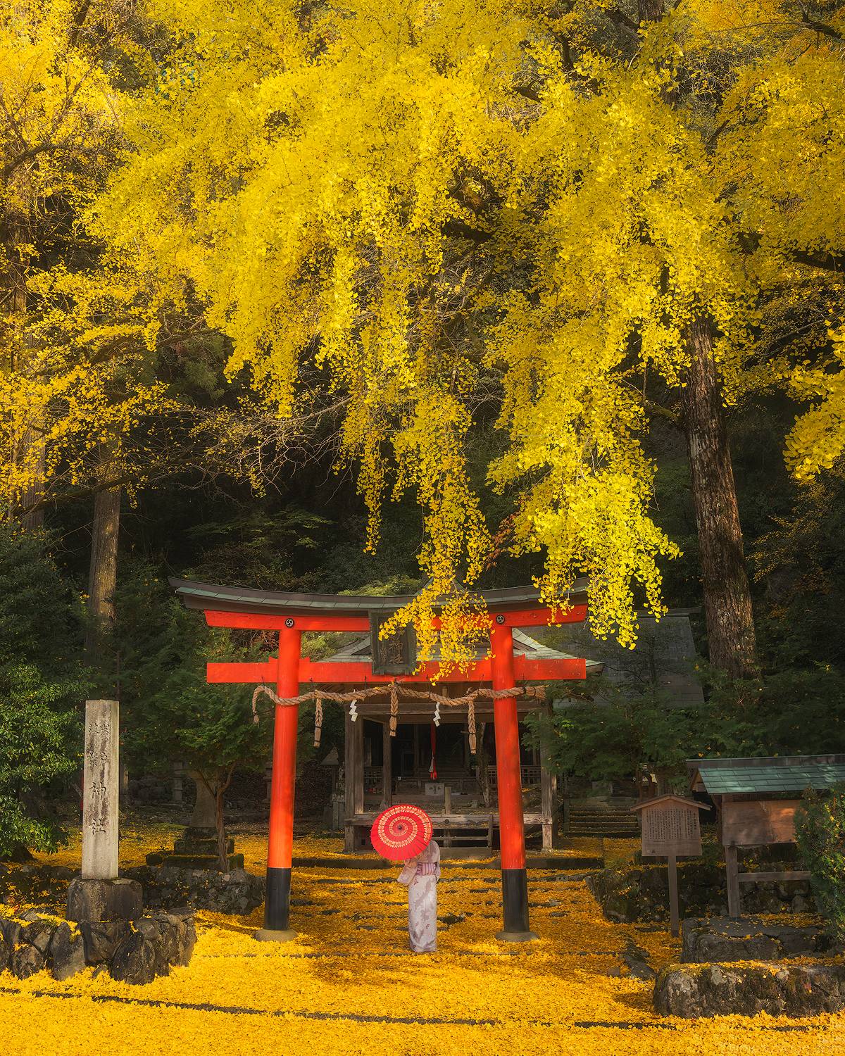 , Даниил Коржонов