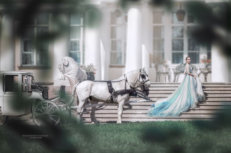 horse, horses, лошадь, конь, конныйфотограф, конный фотограф Яна Орлова,  кэнон, canon, 7020028, лошади, фотографияслошадью, фотосессияслошадью, фотосессиислошадьми, коннаяфотография, pferd, horsephotographer, женский портрет, девушка   фото превью