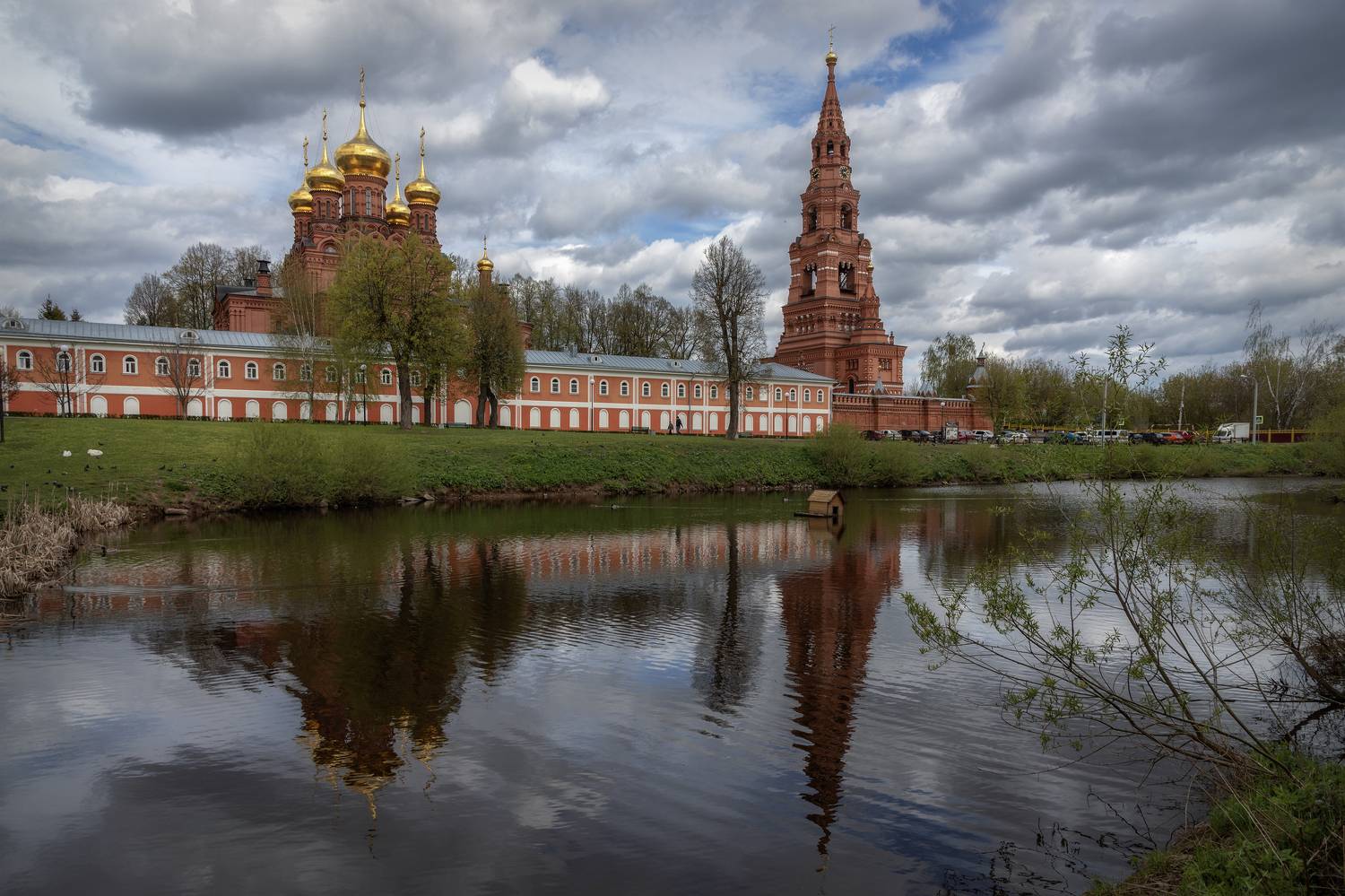 загорский, район, Елена Гусева