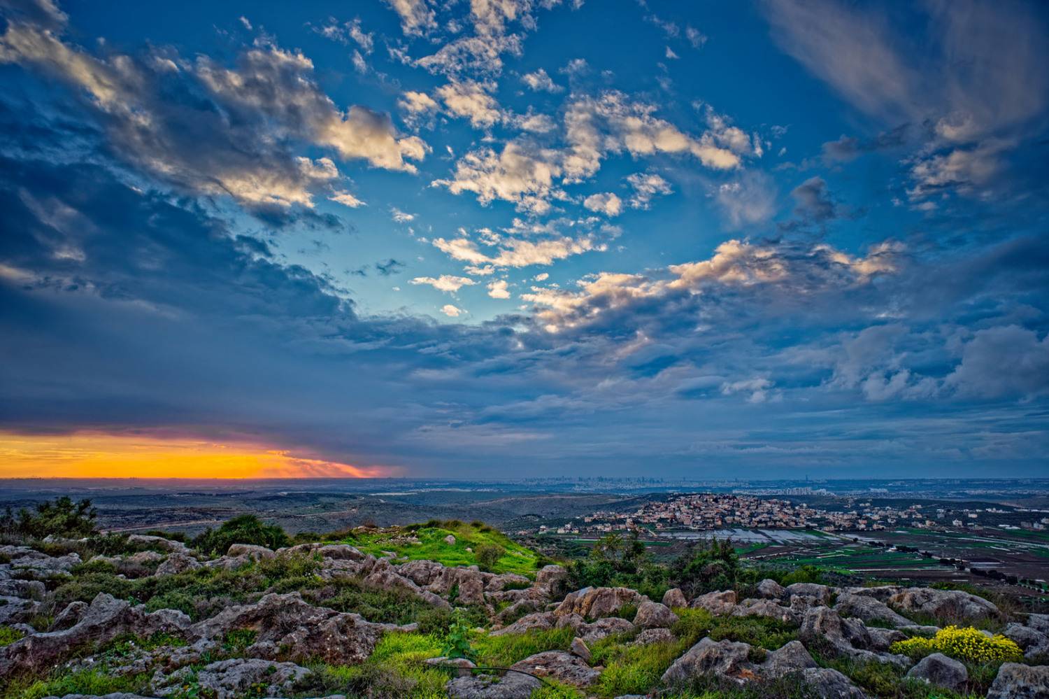 , David Solodar