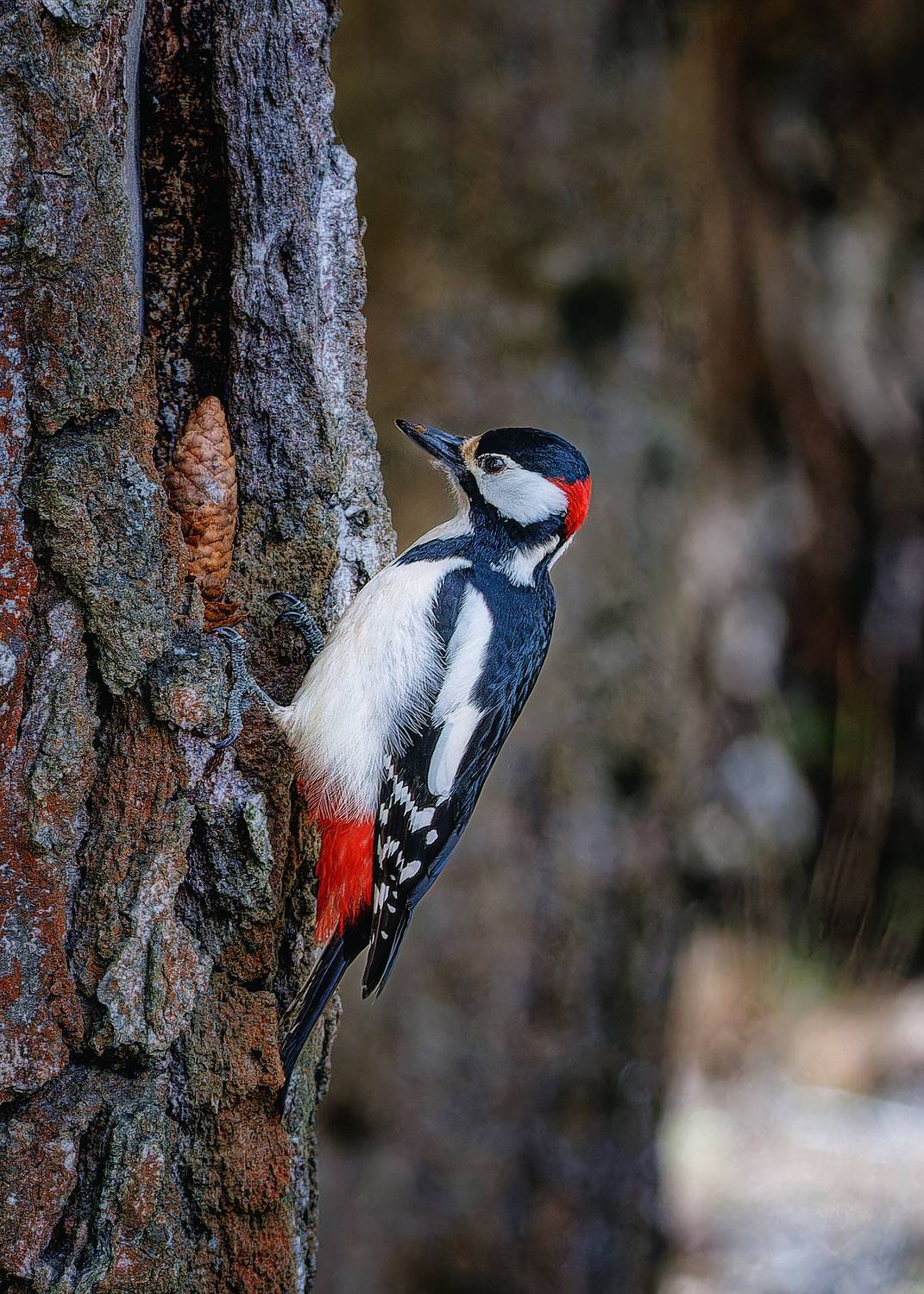 , Загруев Михаил