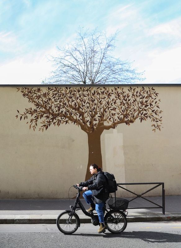 #City #Travel #tree #Ironic #urban the Half painted tree фото превью