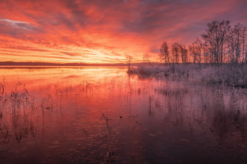 Утро на озере...  фото превью