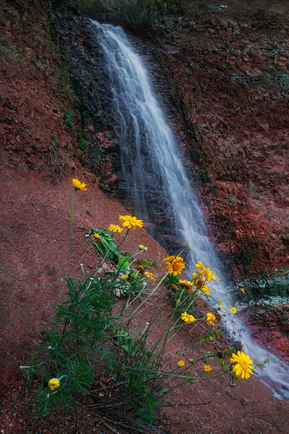 , Смольский Евгений