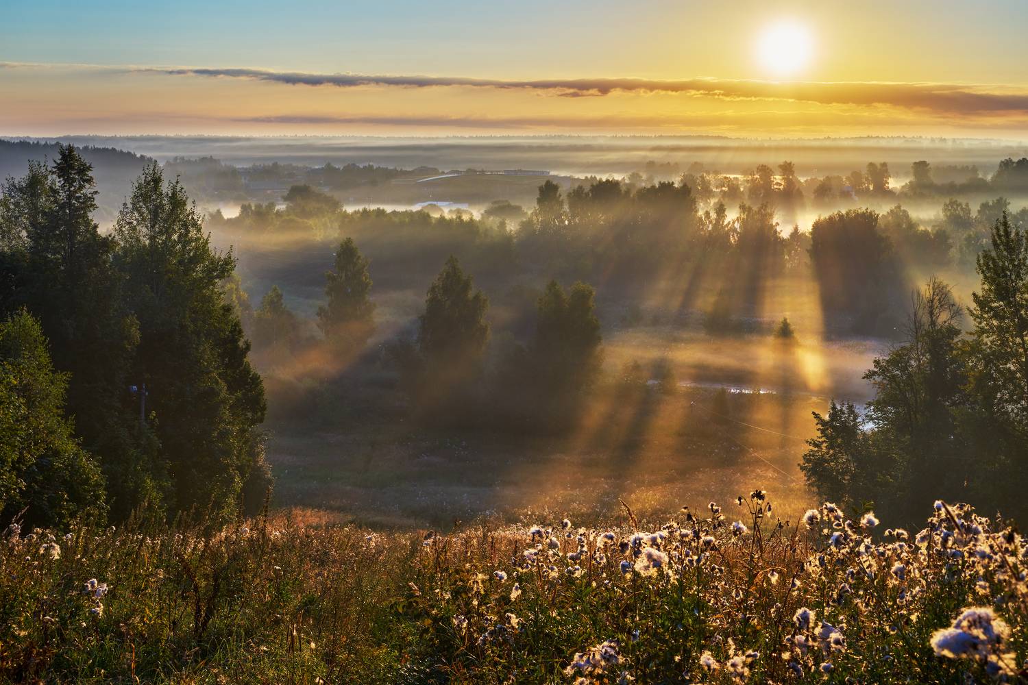 август, лето, утро, Медведев Александр