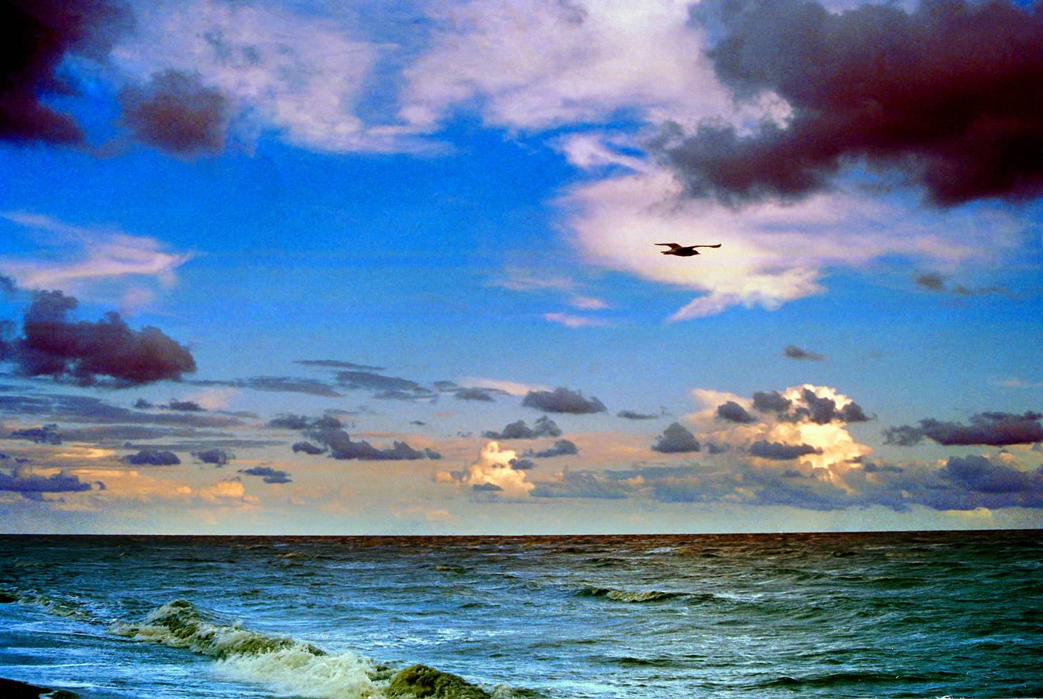 , Андрей Петросян