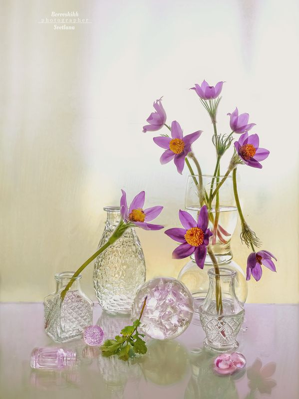 Весеннее пробуждение фото превью