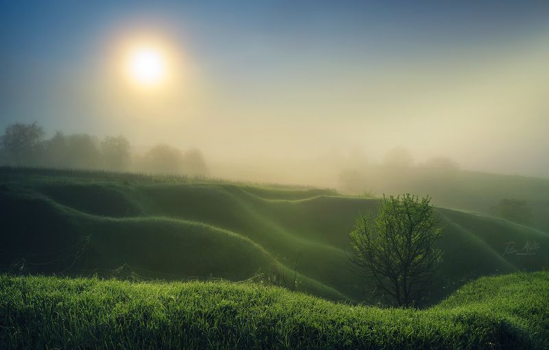 Изумрудный прибой фото превью