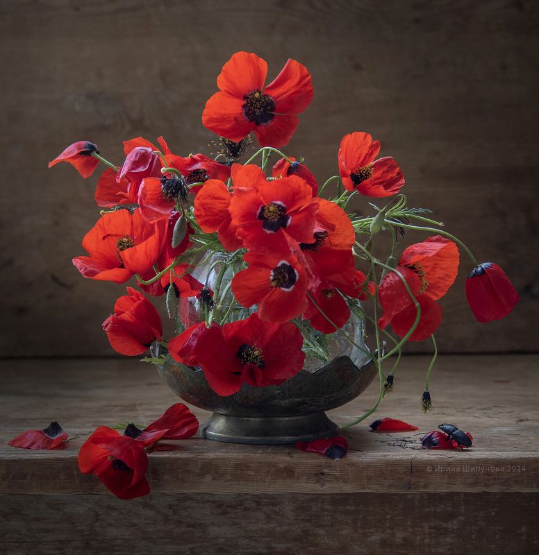 Маковая рапсодия фото превью