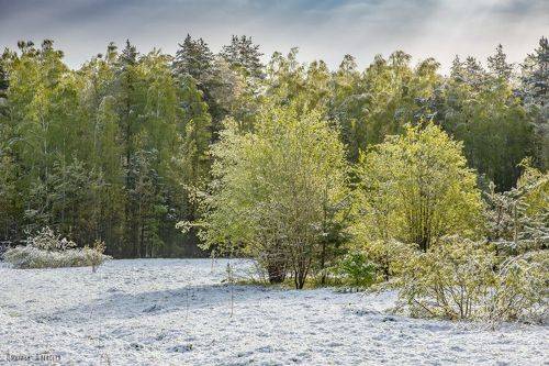 Был месяц май