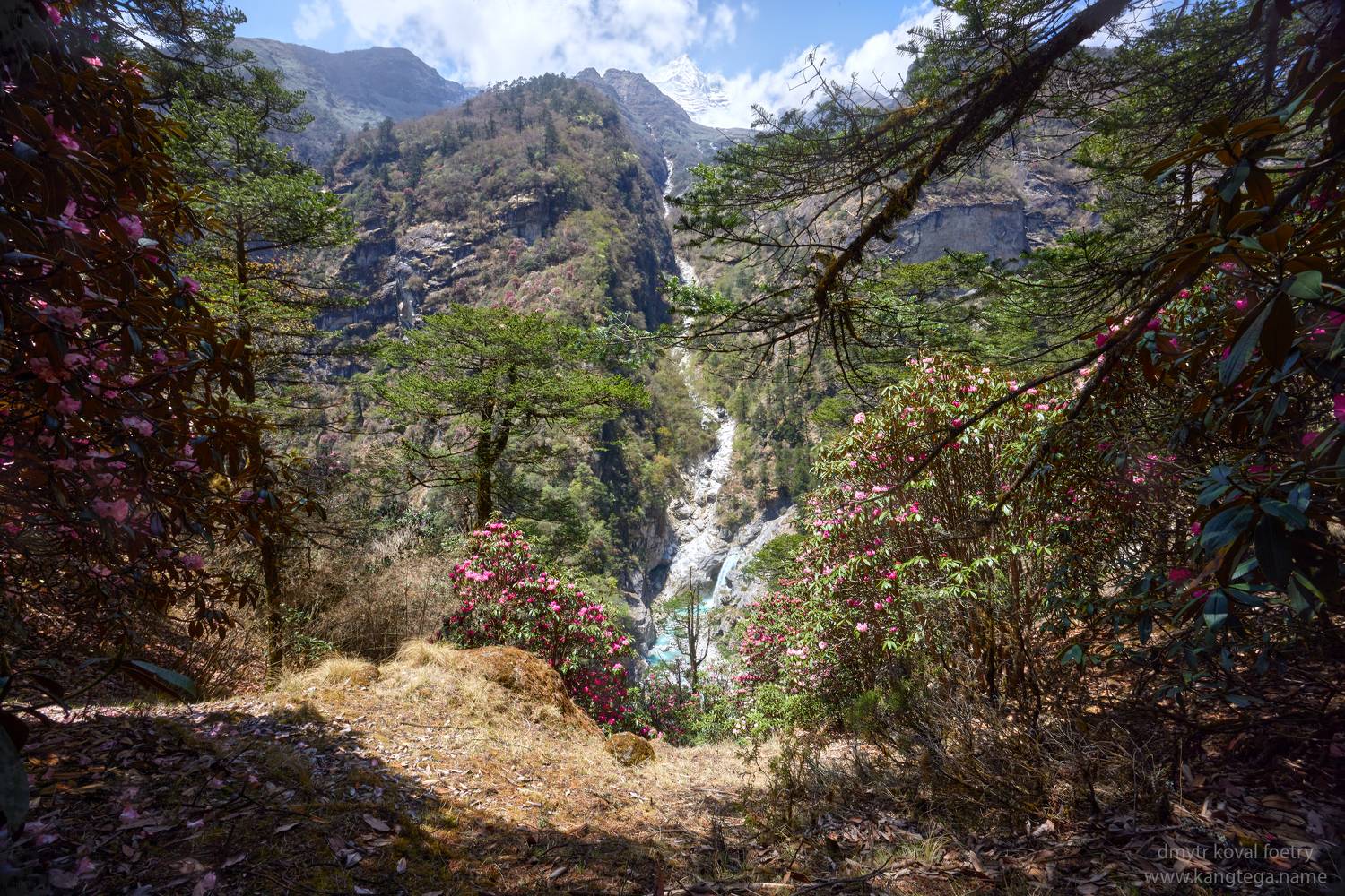 пейзажемагьё, пейзаж-как-виденье, Коваль Дмитр