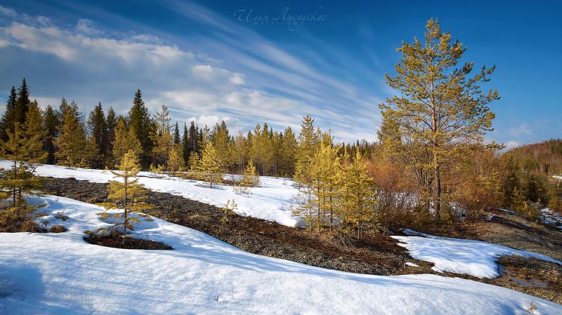 *** фото превью