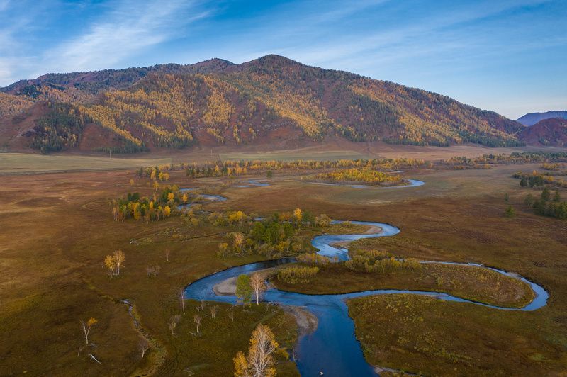 алтай, осень, горы, река, altay, autumn, mountains, river  фото превью