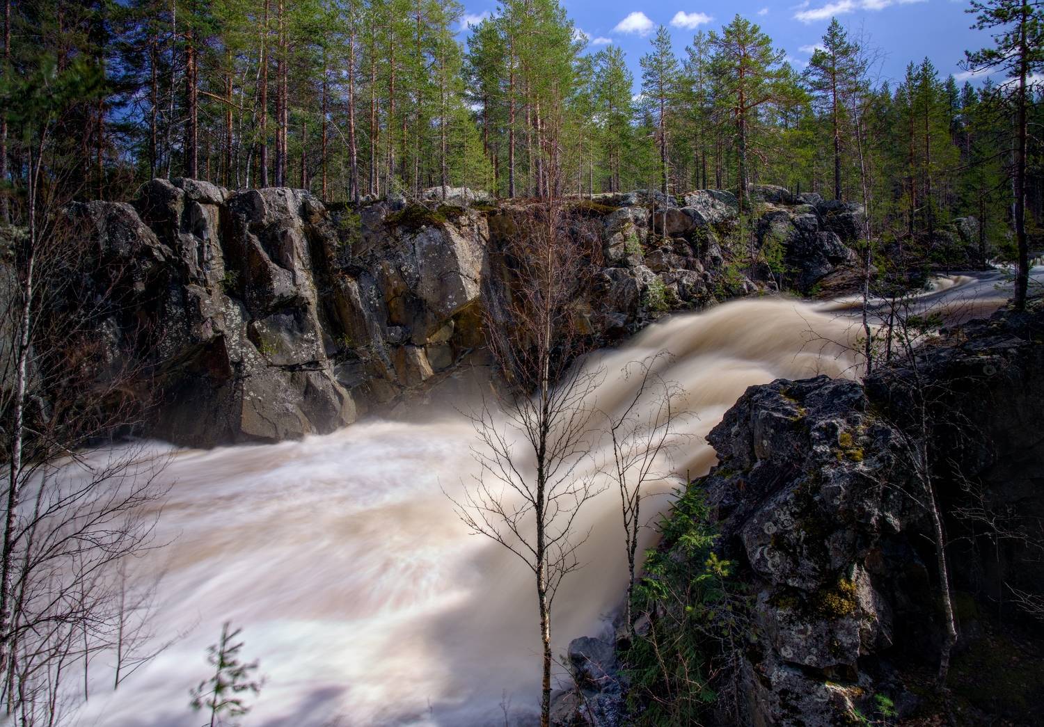 , Шишпанов Игорь