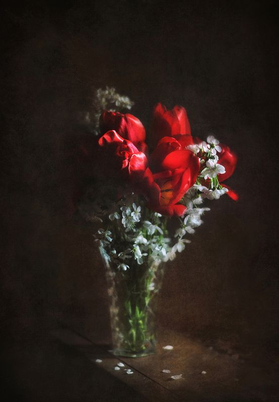 тюльпаны, весна  Устами весны фото превью