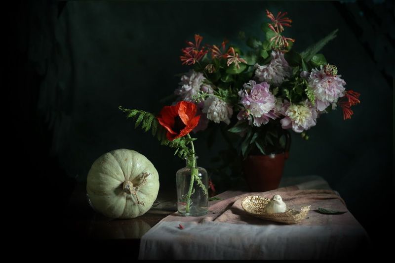 С тыквой фото превью