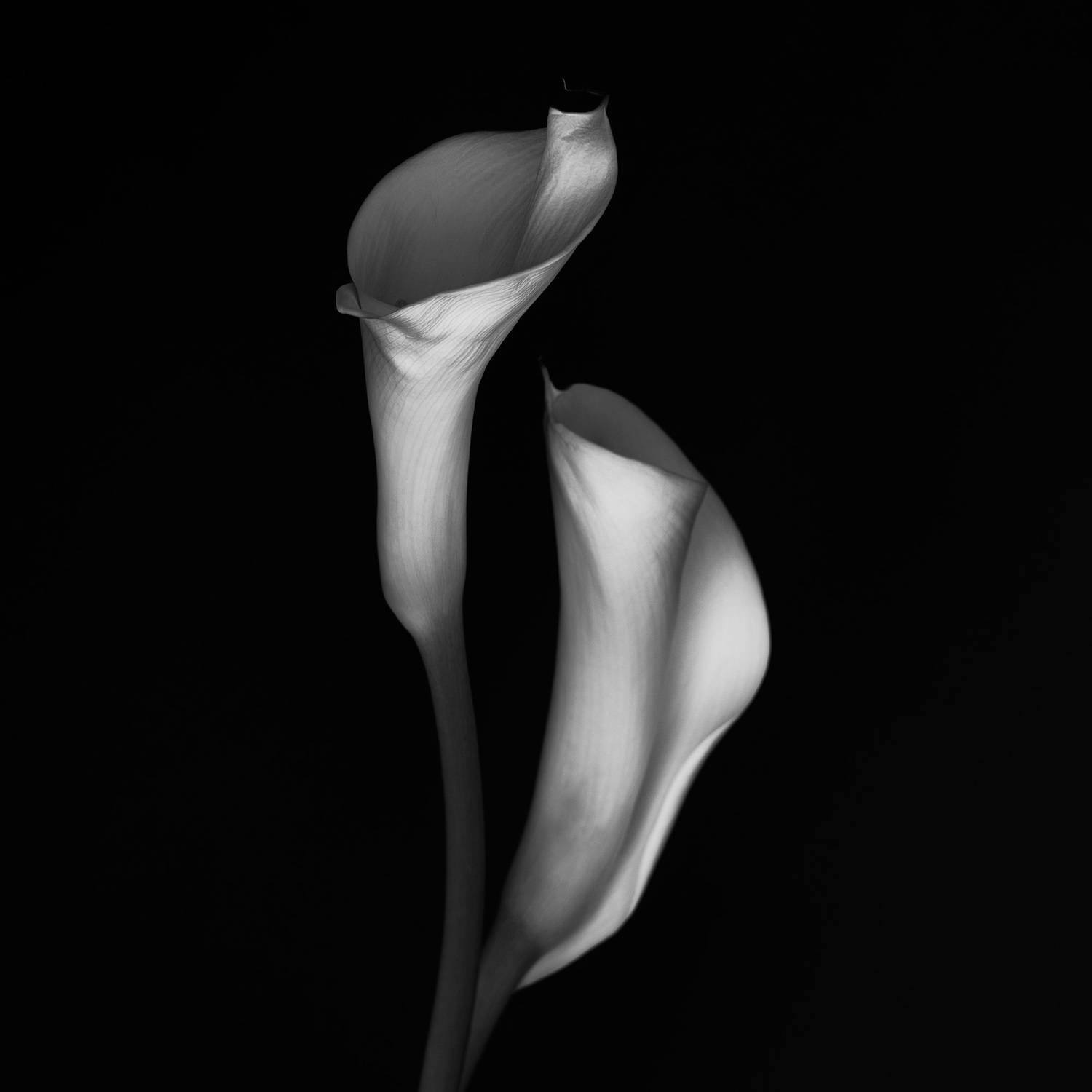 , Евгений Иванов