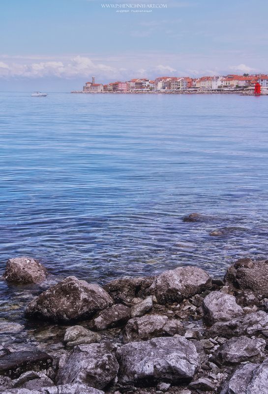пейзаж, городской пейзаж, словения, пиран, море, морской пейзаж, бухта, набережная В бухте Пирана фото превью