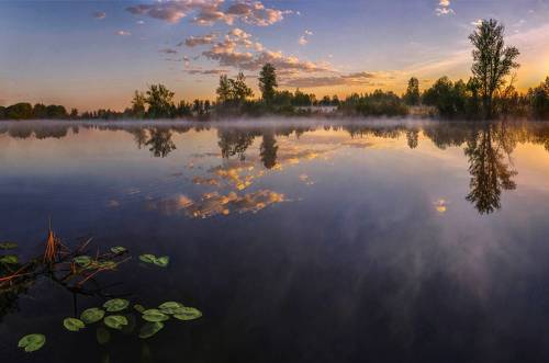 В начале дня