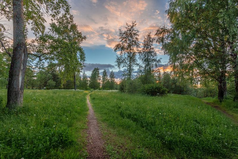 Вечер в парке. фото превью