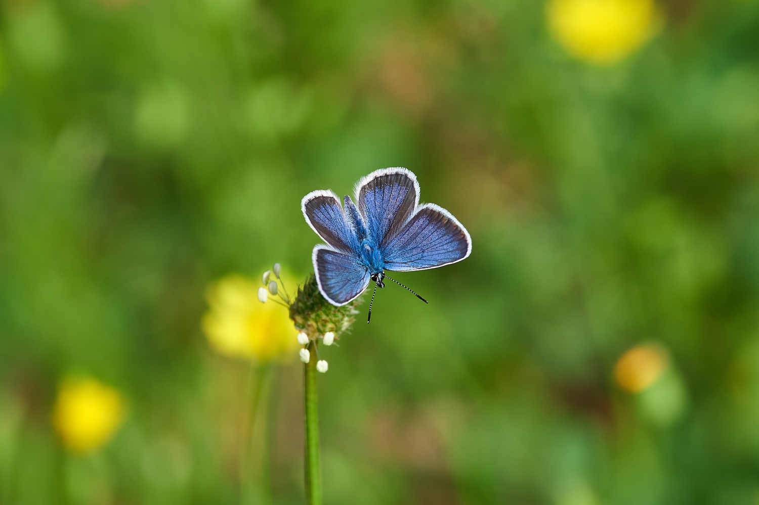 , Павел Сторчилов