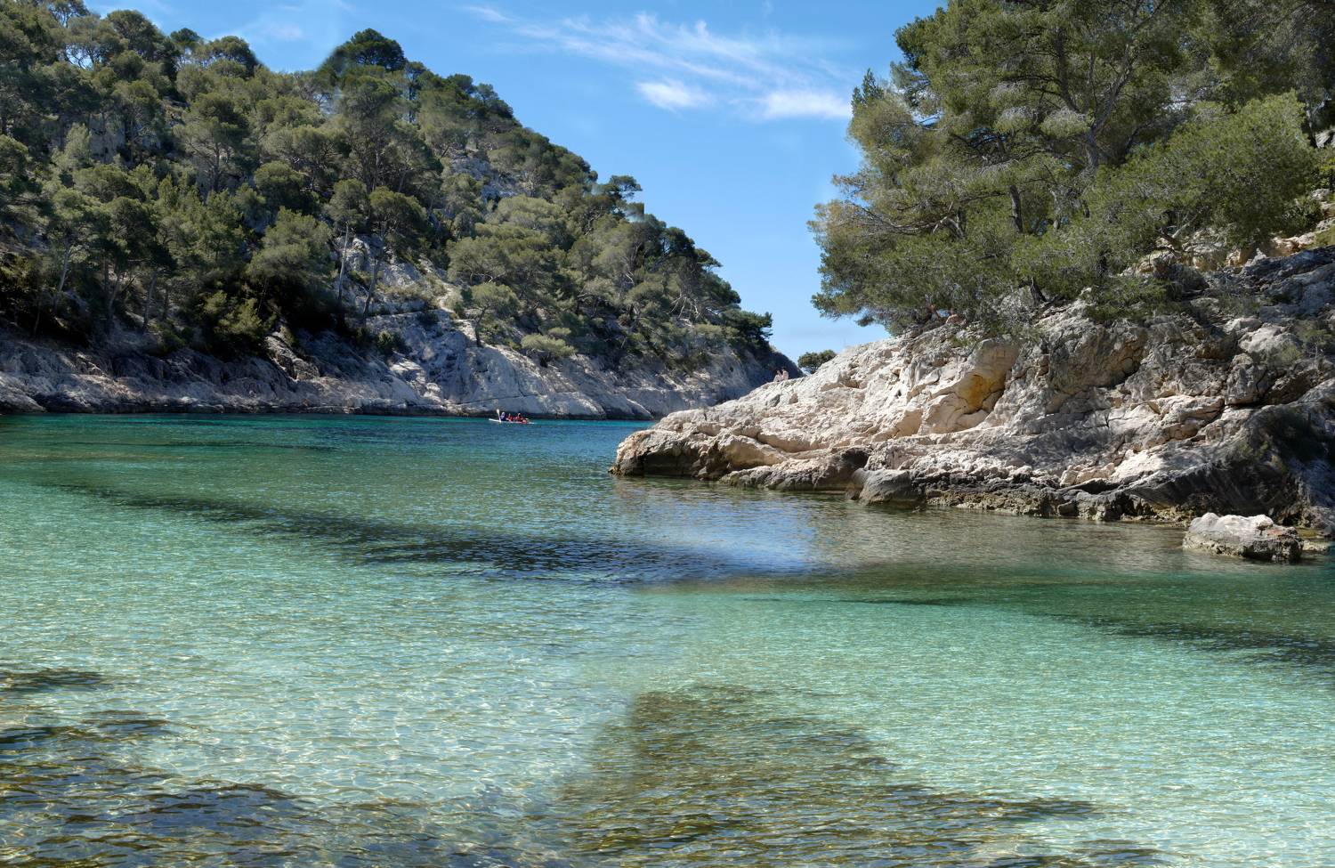 Перспектива у воды, isamonov