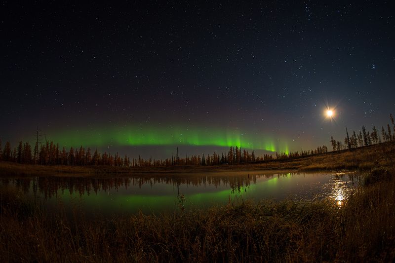 Тундра вечерняя фото превью