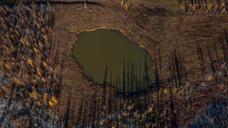 Отражение фото превью