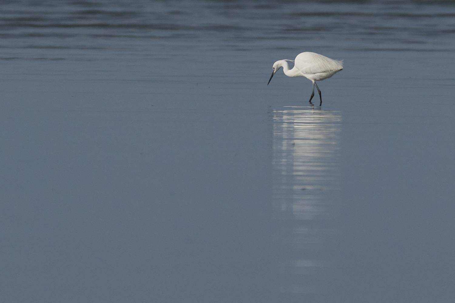 , Евгени Стефанов