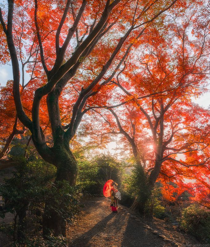 In Japan - Kyoto