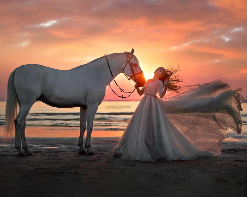 horse, horses, лошадь,  конный фотограф Яна Орлова, конь, конныйфотограф, кэнон, canon, 7020028, лошади, фотографияслошадью, фотосессияслошадью, фотосессиислошадьми, коннаяфотография, pferd, horsephotographer, женский портрет, девушка   фото превью