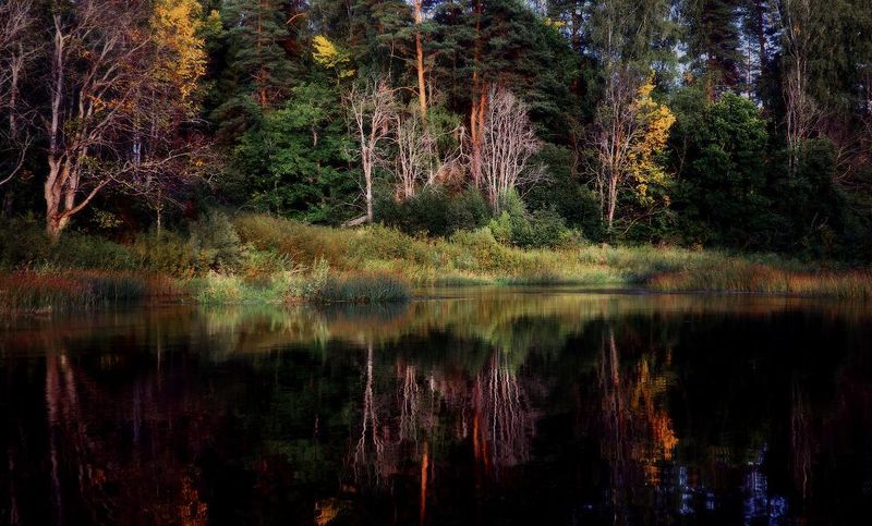 ярославская область, соть Соть фото превью