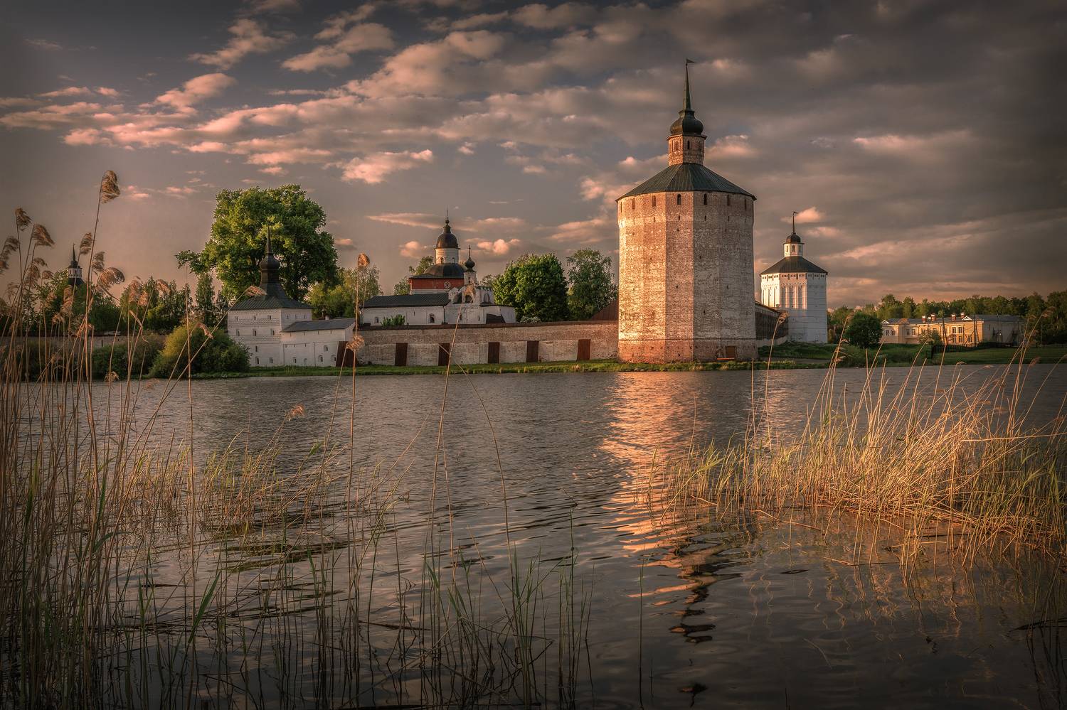 Вологодская область, Елена Гусева