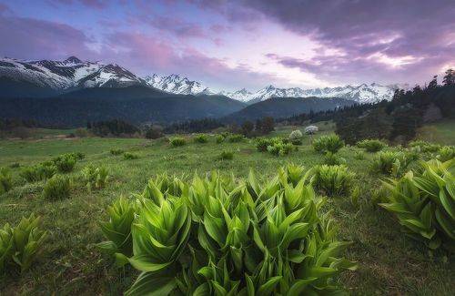 Вечер в горах Архыза