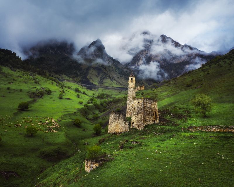 ингушетия, горная ингушетия, ингушские башни, заповедник эрзи, башенный комплекс Ингушетия в мае фото превью