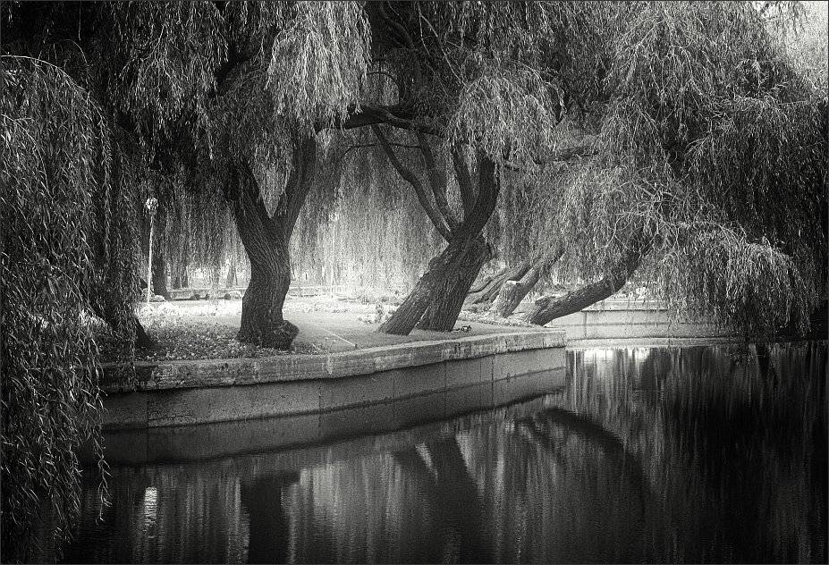 , Сергей Фудиненко