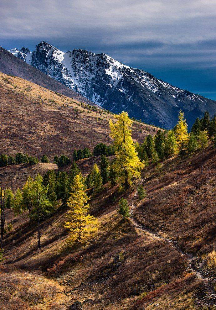 Алтай, Горы, Осень, Владимир Ляпин