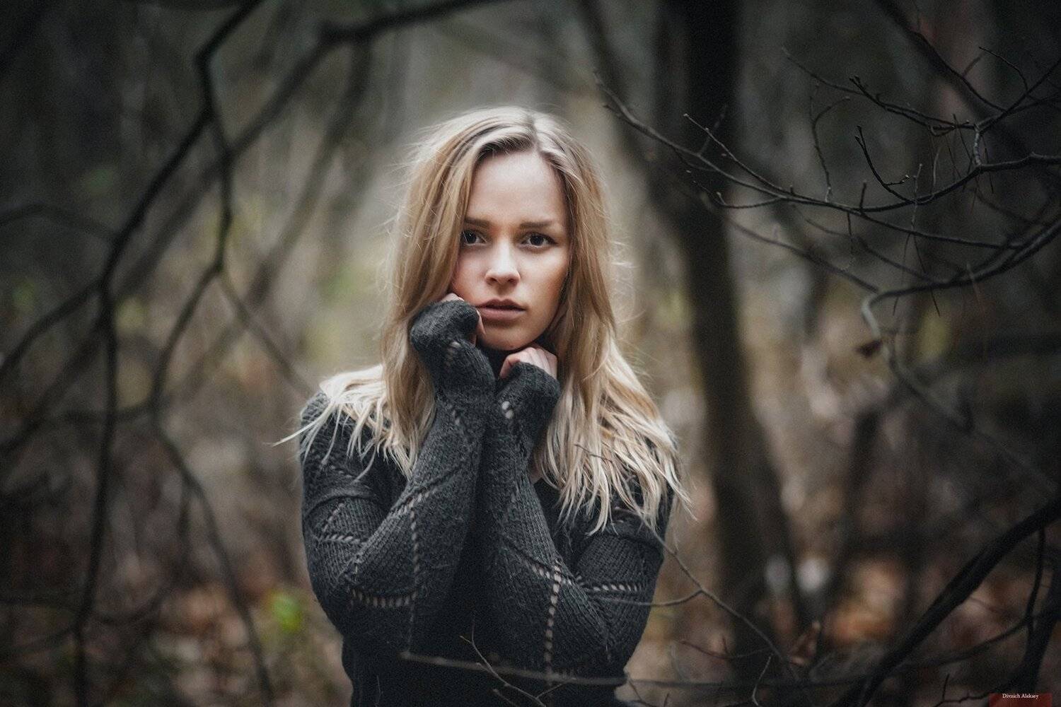 , Алексей Дивнич