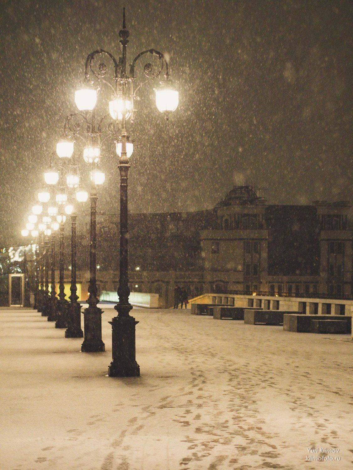 , Лунный Ежик