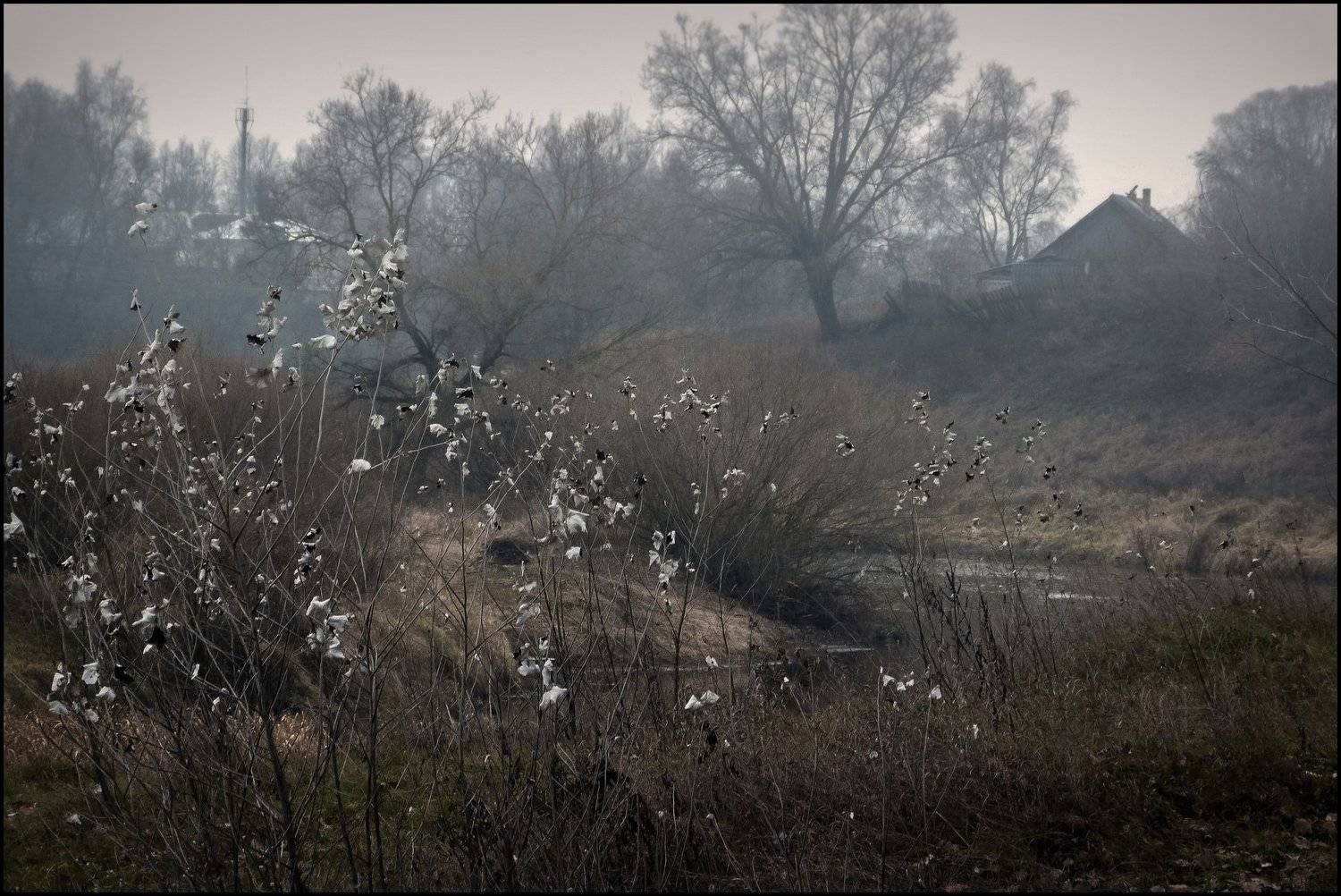 настроение, пейзаж, поздняя осень, россия, сумерки, времена года, короткий день, пасмурно,, Лидия
