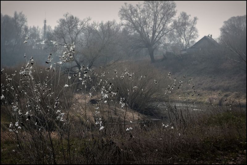 настроение, пейзаж, поздняя осень, россия, сумерки, времена года, короткий день, пасмурно, ноябрь - сумерки года фото превью