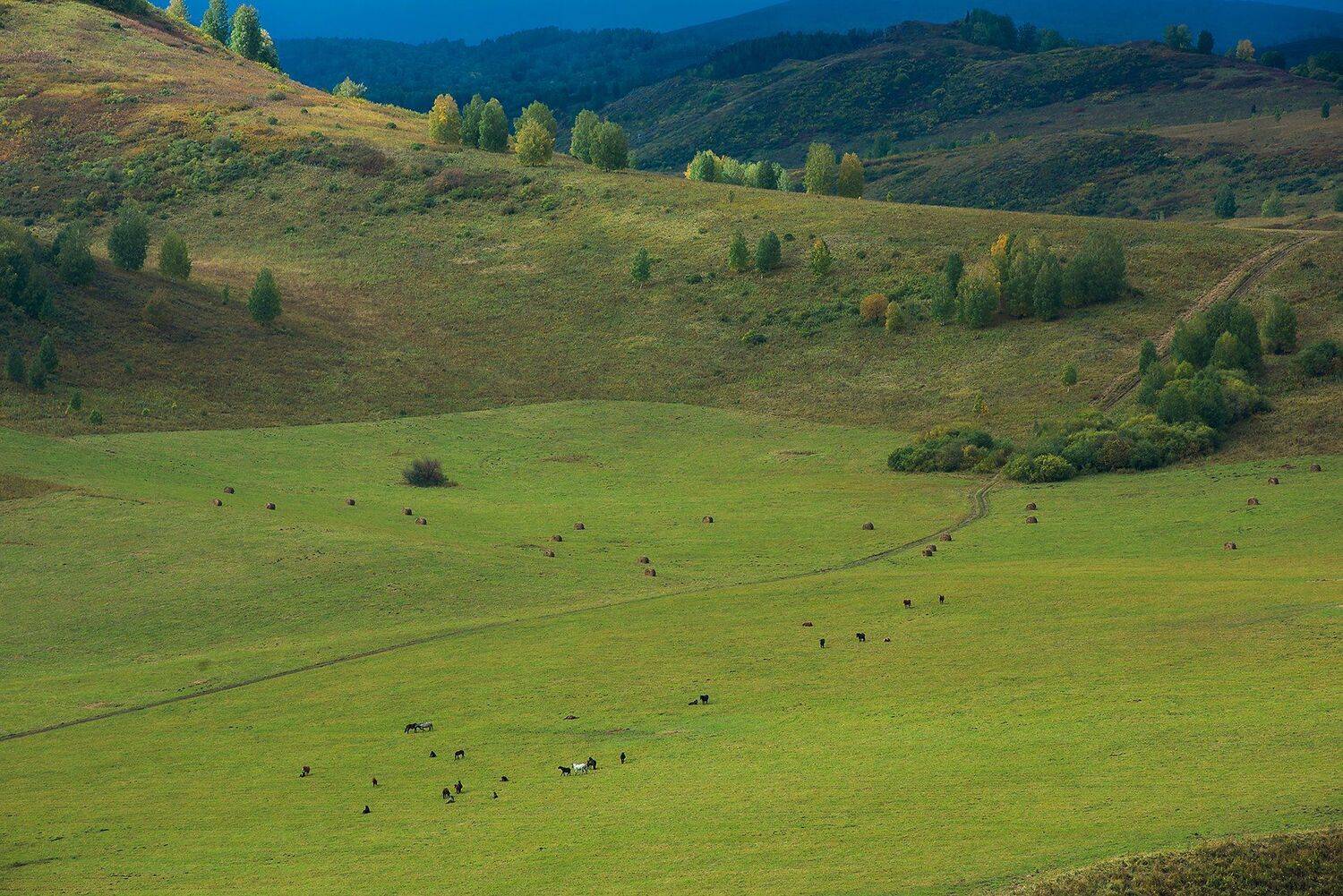 altai, siberia, Ruslan